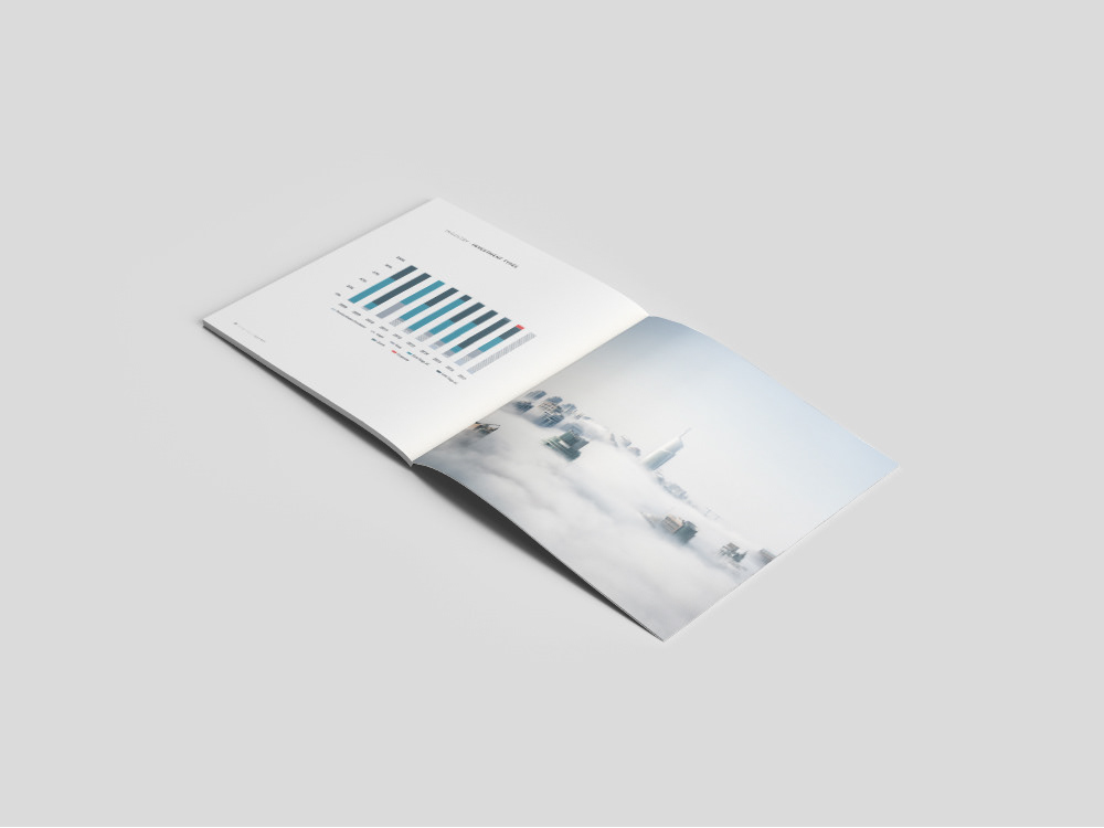 Capital strategy report
