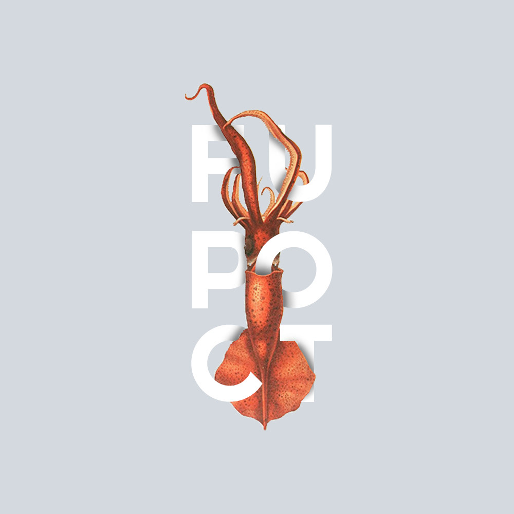 Cephalopod Illustration