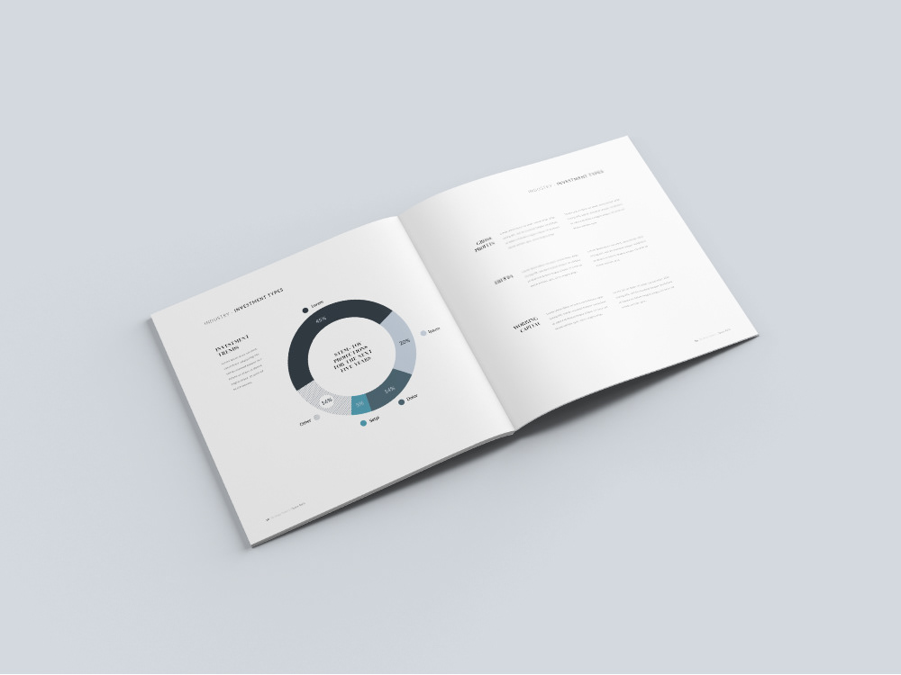 Capital strategy report