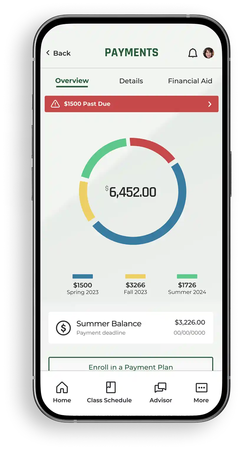 Light payments page